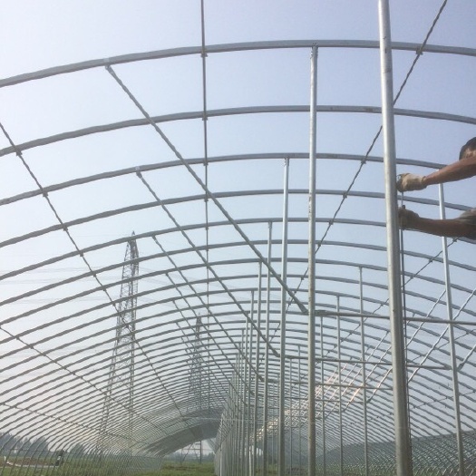 蔬菜大棚