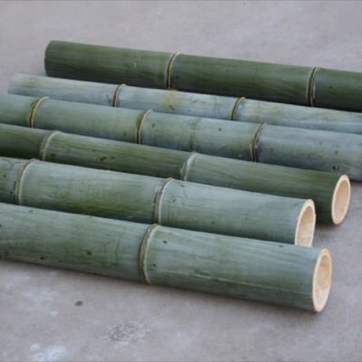 青田县 大量毛竹资源丰富，价格可以详谈