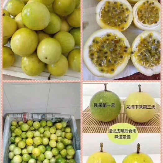 平南县 黄金百香果