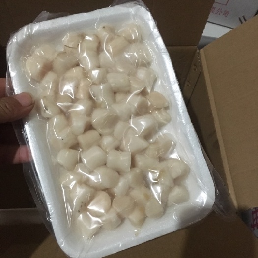 乐亭县 扇贝柱
