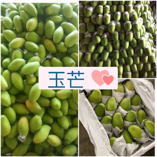 凭祥市大青芒  越南玉芒 青芒源头供应保质保量  网红芒果花
