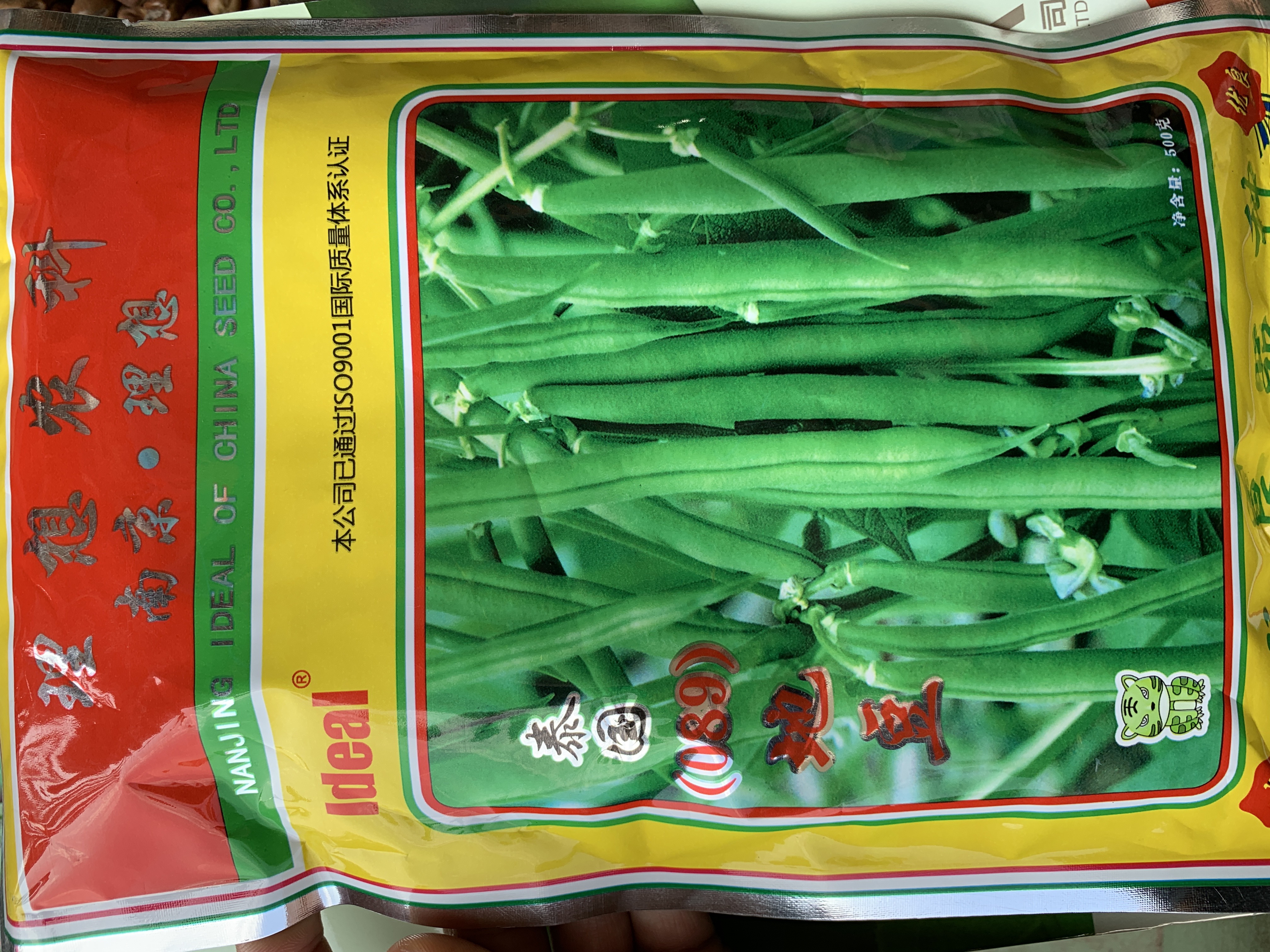 赣州四季豆种子 泰国089地豆 无架四季豆