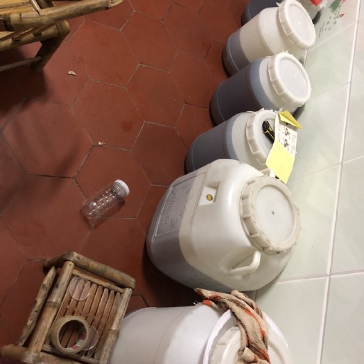仙游县 野生冬季蜂蜜