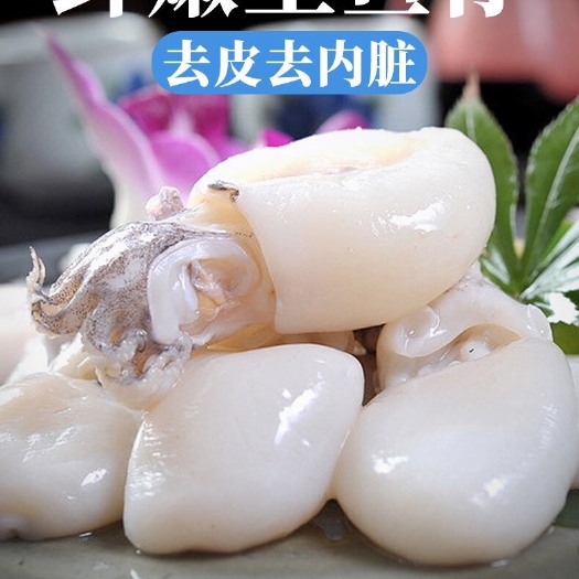 连云港新鲜小墨鱼仔鲜活冷冻包邮海鲜速冻花枝小乌贼包邮