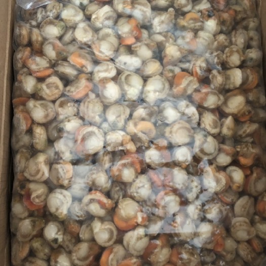 丹阳市冷冻扇贝肉 扇贝肉 鲜活冷冻海鲜水产现剥扇贝新鲜海鲜 厂家直销 支持领样