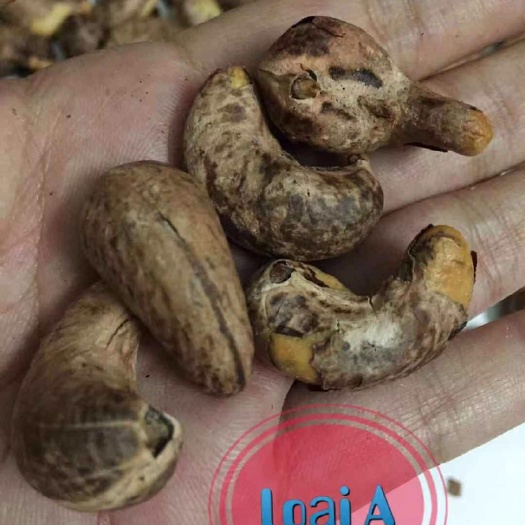 南宁 越南腰果，原味腰果，盐焗腰果
