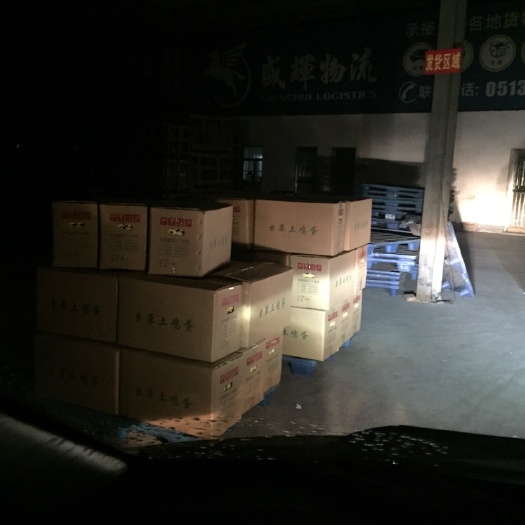 东台市 初生蛋