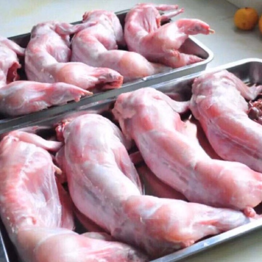  自家养殖兔肉 量大可接