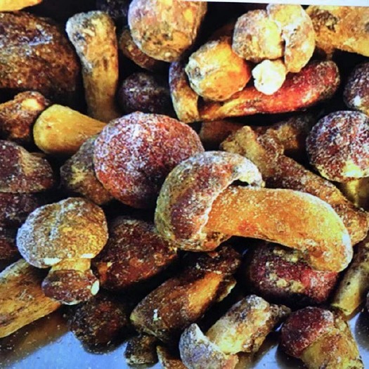 呼玛县 冻黄牛肝菌