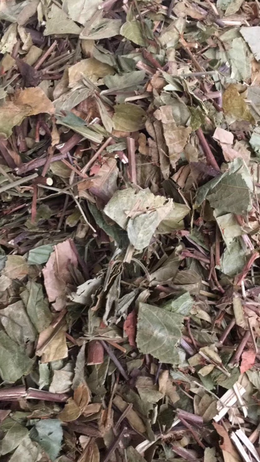 大货供应｛葫芦茶｝可批量可零售量大从优【包邮】