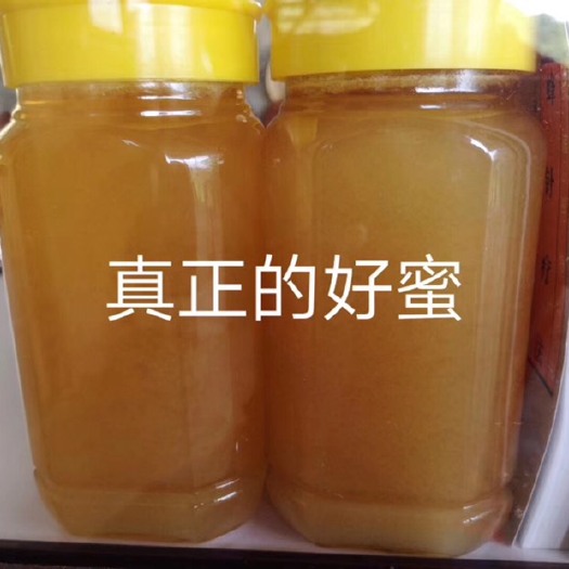 河源 土蜂蜜冬蜜糖