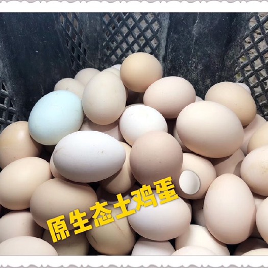 漳浦县 真正的放山土鸡蛋，土的不能再土的土鸡蛋