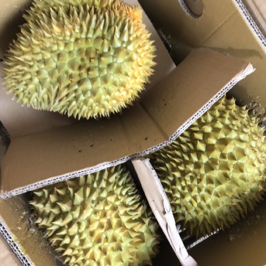 凭祥市 精品榴莲