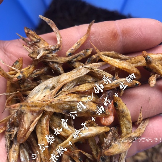 廉江市小黄鱼干 烘干小黄鱼 一手货源 天然水库鱼 春夏秋冬都有货