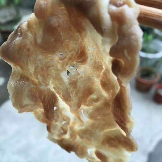 金堂县 肥牛
