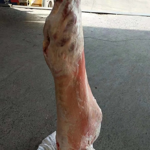 天津绵羊肉 正关乌拉圭14厂羔羊胴体
