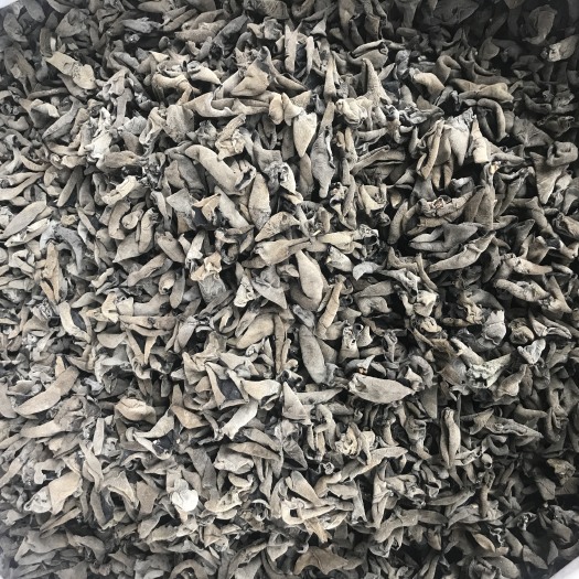 合肥 东北黑木耳