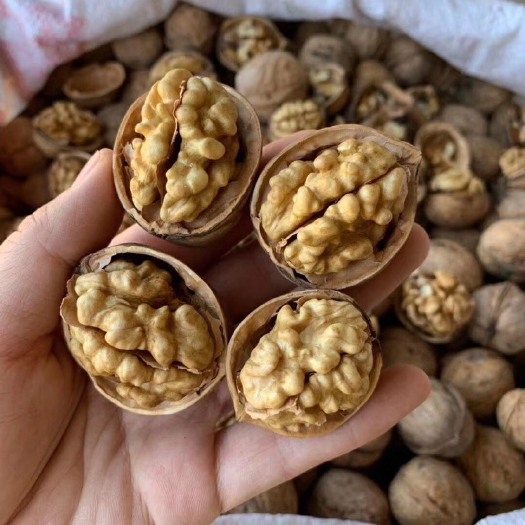 阿克苏市新疆185核桃  新疆阿克苏185纸皮核桃5斤包邮薄壳脆皮特级