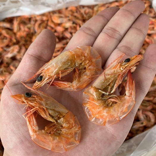 日照烤虾干 80斤起批，年前最优惠了哦