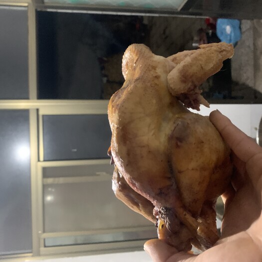 曲周县白条鸡 新鲜