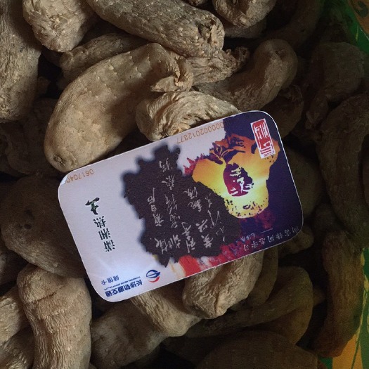 桑植县 天麻