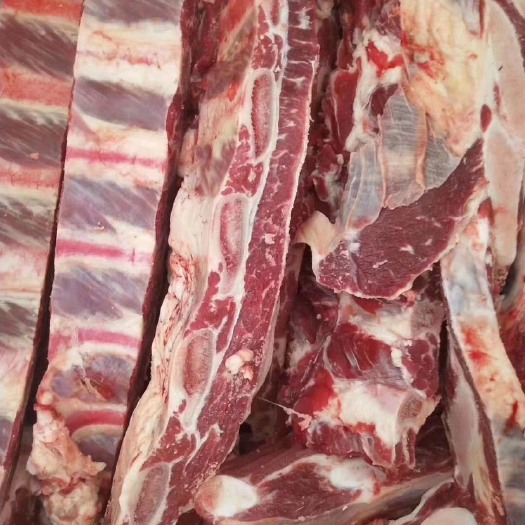 阳信县多肉牛排 国产