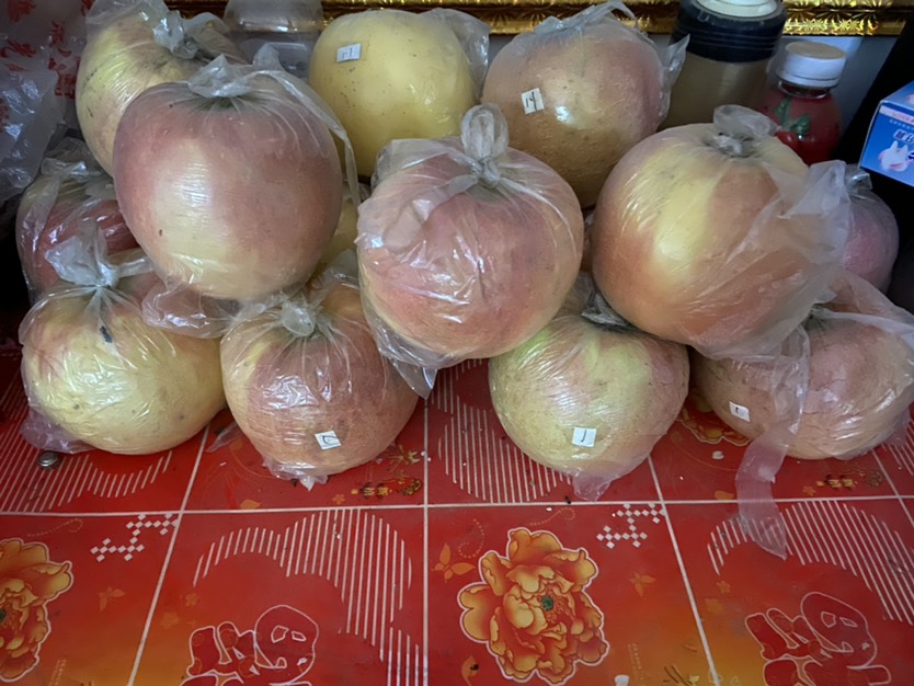  红富士苹果。果个半斤以上