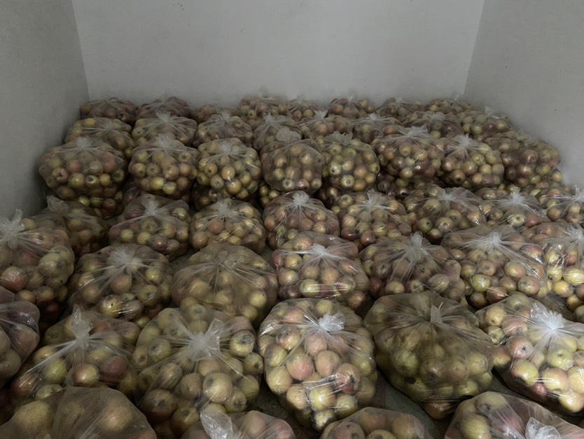  红富士苹果。果个半斤以上