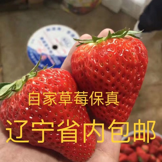 东港市 正宗久久牛奶草莓，保真，自家大棚产，