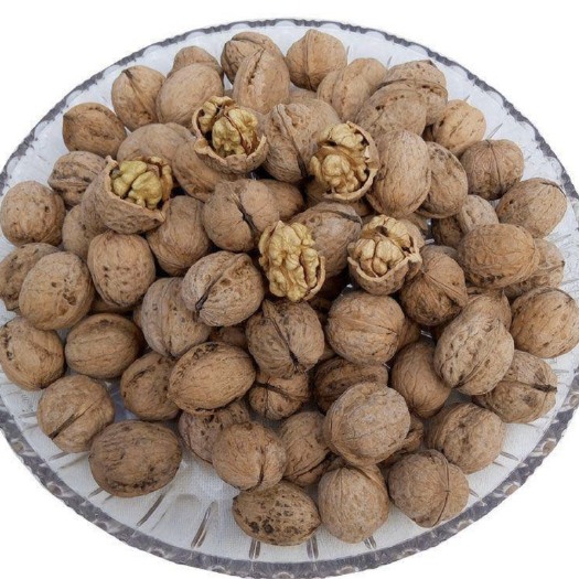 昌乐县 薄皮山核桃
