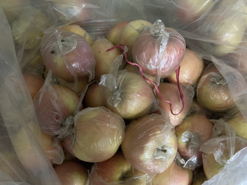  红富士苹果。果个半斤以上