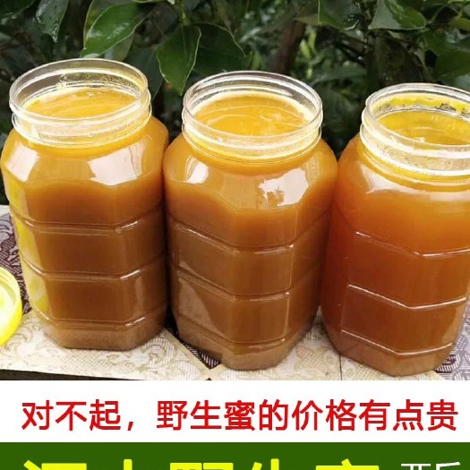 舒城县 天然花朵大别山高山无污染土蜂蜜两斤装