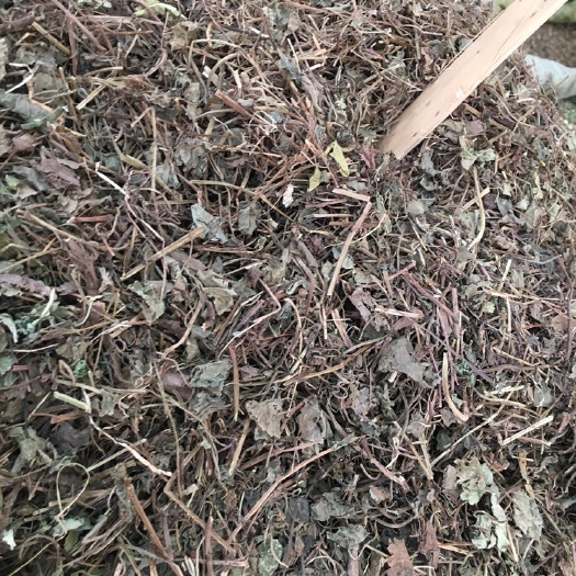 透骨消药材批发