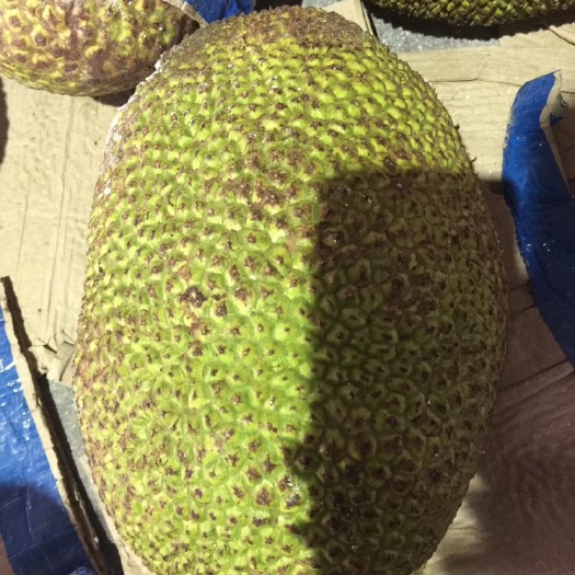 凭祥市 越南红肉菠萝蜜