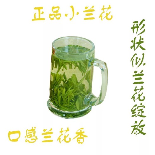 舒城县 正宗高山绿茶天然无化肥成分舒城小兰花精品礼盒装