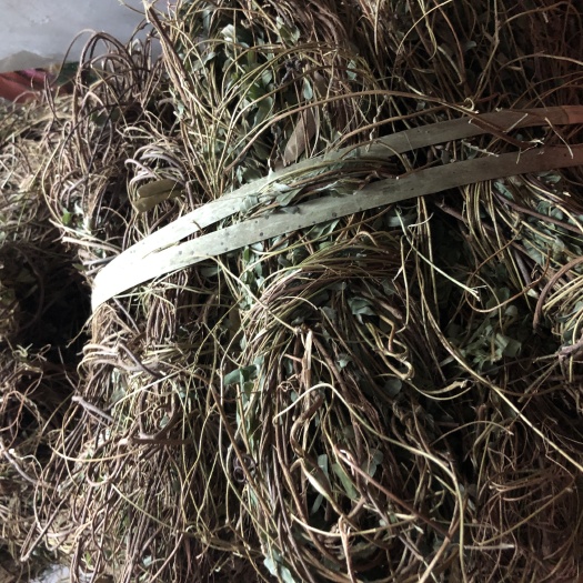 苍梧县 干货鸡骨草