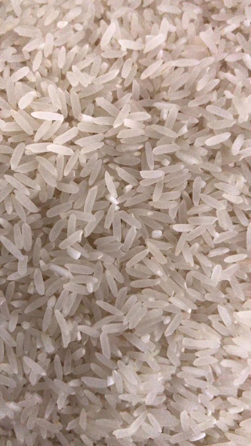 高山生态大米 晚稻 一等品 粳米