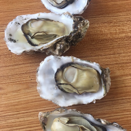 荣成市威海牡蛎 1-2两/只 2-3两/只 3-4两/只 6两以上/只   5-6两/只 4-5两/只 鲜活水产 海水