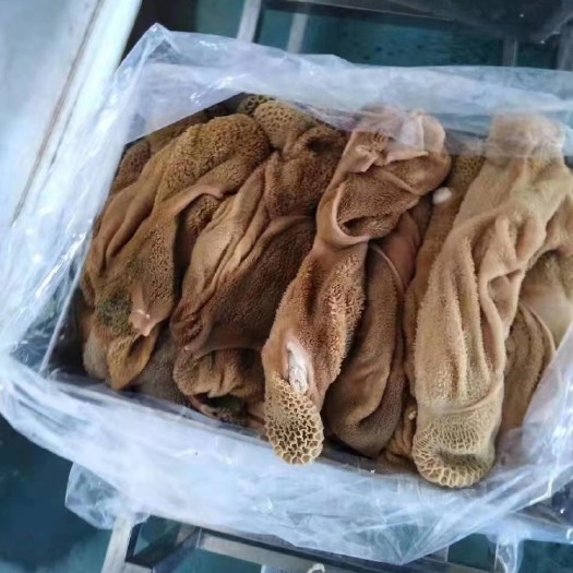 中牟县羊肚