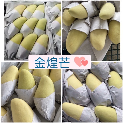 凭祥市越南水仙芒 金煌芒套袋半套金煌价格优惠 质量保证 一件起批
