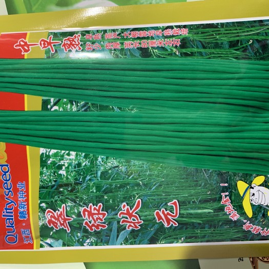  翠绿状元青豆角种子  荚长80～90厘米 中早熟 结荚多