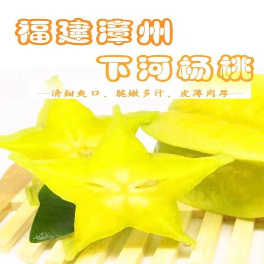 云霄县 漳州市云霄县杨桃