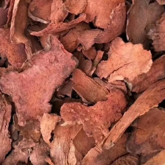 长期供应｛菝葜金刚藤｝可批量可零售量大从优【包邮】
