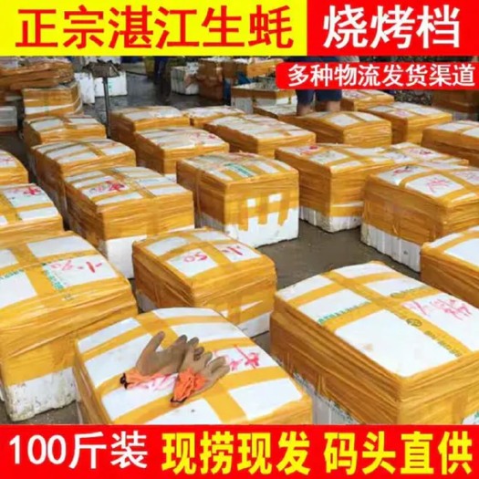 湛江湛江牡蛎 湛江生蚝蚝农一手货源大量批发