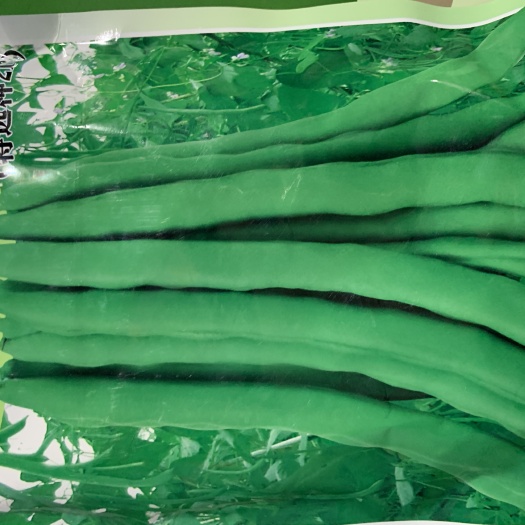 赣州 意大利38号玉豆（特选种216）玉豆种子四季豆种子