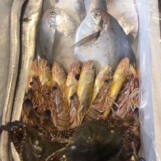 舟山深海海鲜 海鲜