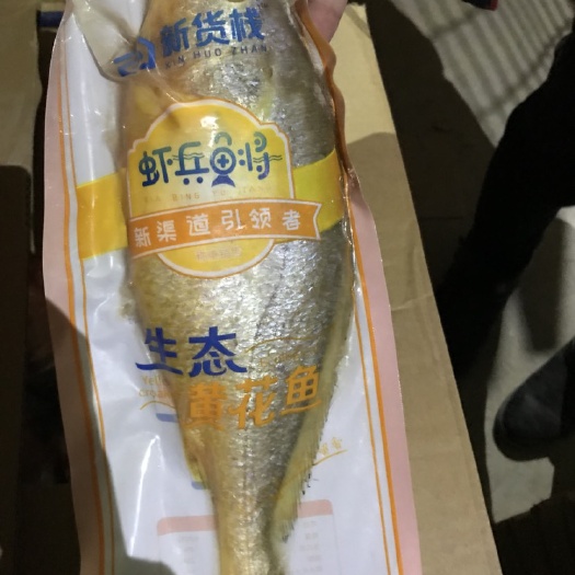 高碑店市 大黄花鱼