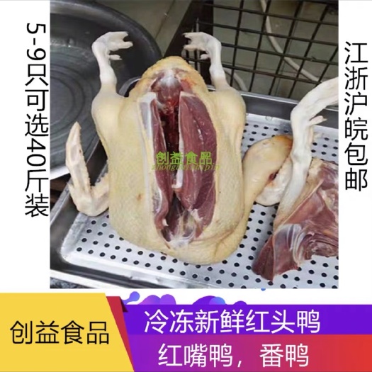 南京鸭肉类 冷冻红头雁