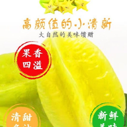 云霄县 福建漳州云霄下河杨桃