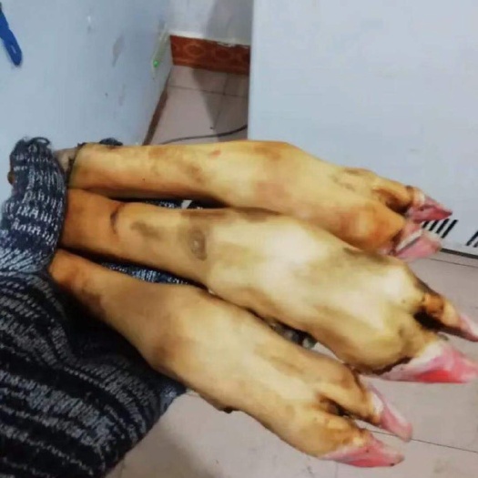 呼和浩特 火烧羊蹄，质量好，价格不高。